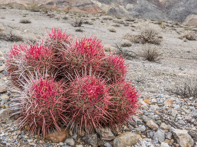 Amargosa Range Scenic Highway