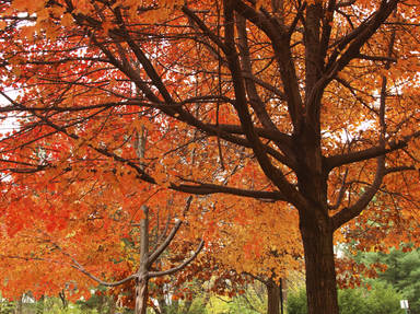 Indiana's Scenic & Historic Michigan Road