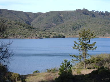 Junipero Serra Scenic Freeway