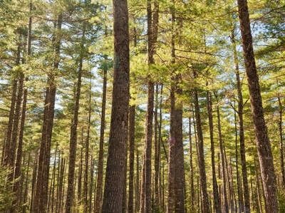 Fundy Coastal Scenic Drive, Rothesay to Sussex