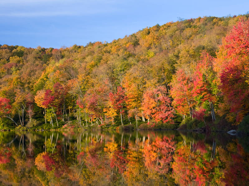 Grafton Notch Scenic Byway Road Trip