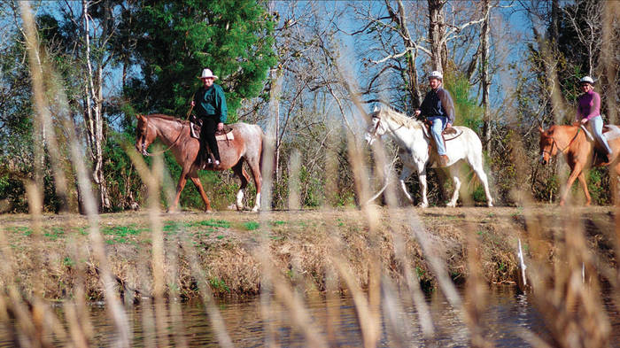 Middleton Place National Historic Landmark/not available