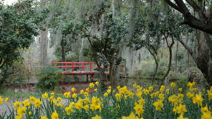 Magnolia Plantation