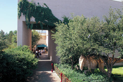 Noble Planetarium - Fort Worth Museum of Science and History